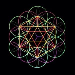 Meet your Posher, Terri